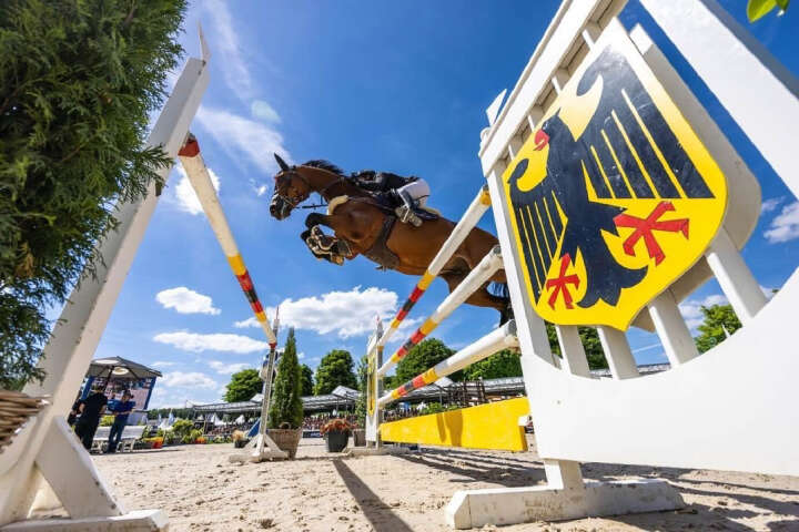 marie ligges derby community pferd teaserbild marie ligges derby community pferd teaserbild